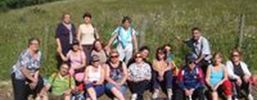 Convivencia “Paseos por la Salud”